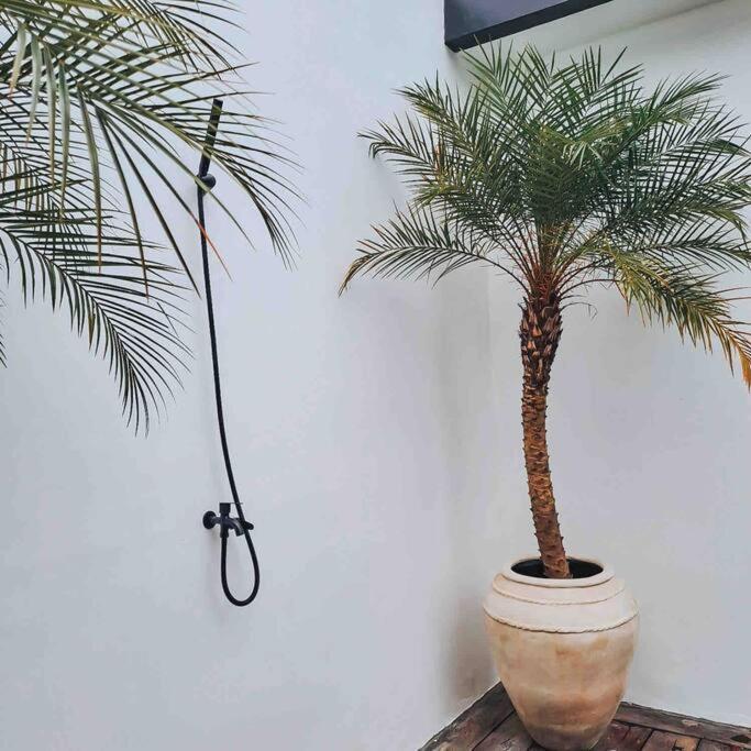 Casa Di Pererenan Villa ชังกู ภายนอก รูปภาพ